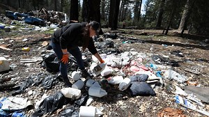 Illegal pot trade linked to Mexican drug cartels leaves contaminants, dead animals behind
