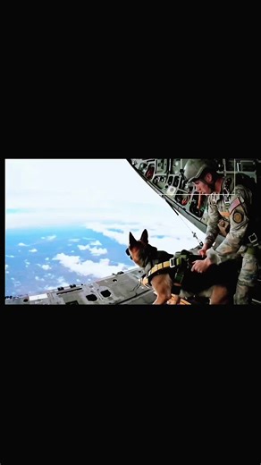 Zeus: The First Skydiving K9 Officer