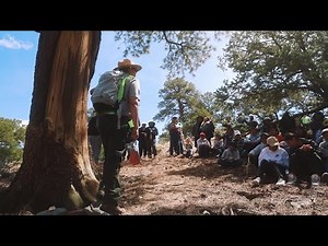 Plant Medicine of the Jicarilla Apache