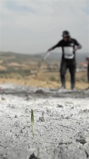 3.3M views · 103K reactions | This Man Creates Magic in the Skies #SaypeArt #BiodegradableCanvas #EcoFriendlyMasterpiece #LivingPaintings #SkyHighArtistry #NatureInspired #VanishingCanvas #ContemporaryArt #GreenRevolution #ArtisticInnovation | Jeje Gaming | Facebook