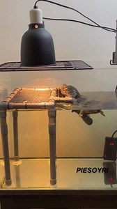 Large Turtle Basking Platform, 10.8" Width Resting Area with Ramp, PVC Standing Basking Dock for Aquatic, DIY Turtle Tank Accessories for 25/29/40/55 Gallon