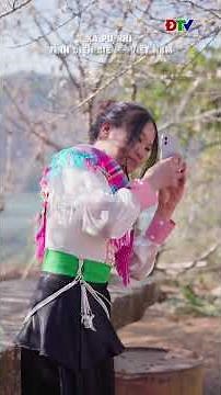 Mùa hoa mận Pu Nhi – Điện Biên | Điện Biên TV