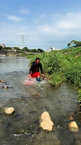 Chasing fish using ring net | Jacovtv