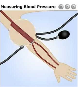 Measure blood pressure animation
