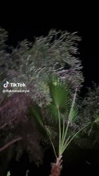 Vidéos de Lfakhama Style (@lfakhamastyle) avec son original - ngolha_fwjhak