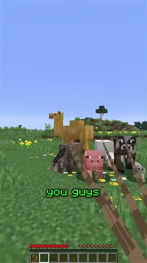 This developer is being offered strange ideas