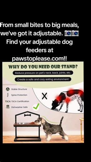 From small bites to big meals, we've got it adjustable. 📷📷 Find your adjustable dog feeders at pawstoplease.com!! #BestFriend #puppy #puppylove #doglover #dog #DogCompanion #ForeverFriend #bestfriend #doglove #dogfeeder