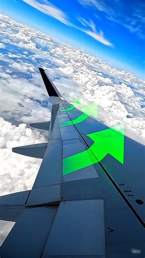Airplane Flying Logic Explained in 40 Seconds 🤯 | Bernoulli's Principle #shorts