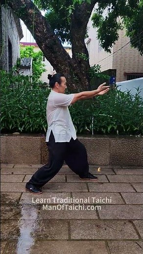 Traditional Yang style Taichi #taichi #ManOfTaiChi #oceanhou #taichiforbeginners #taichiforhealth