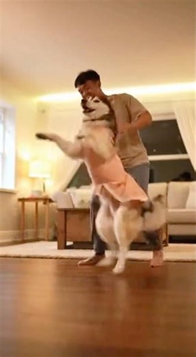 Perfect Human–Dog Dance Sync! Insane Timing!