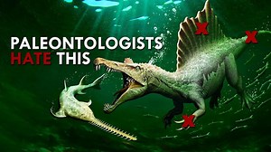 96K views · 1.6K reactions | What did spinosaurus actually look like? Meet this ferocious predator! #Spinosaurus #Paleontology #FossilFriday #Wildlife #History | Animalogic | Facebook