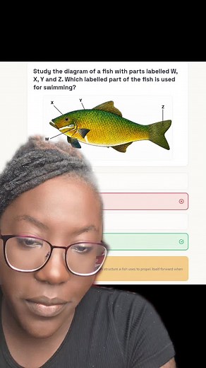 Grade 7 Science Exam Diagrams: Fish, Circuits, Seeds & Photosynthesis