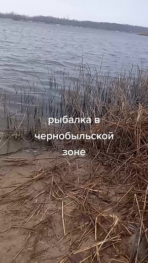 #рыбалка #шутка минутка