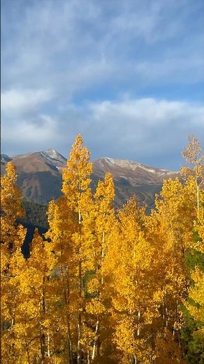 Hiking Through Golden Aspens | Colorado Rockies Fall Morning