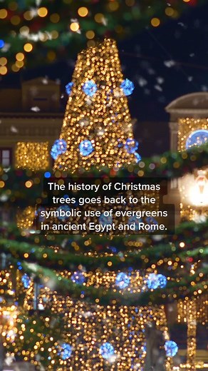 The History of Christmas Trees: From Ancient Origins to Modern Traditions