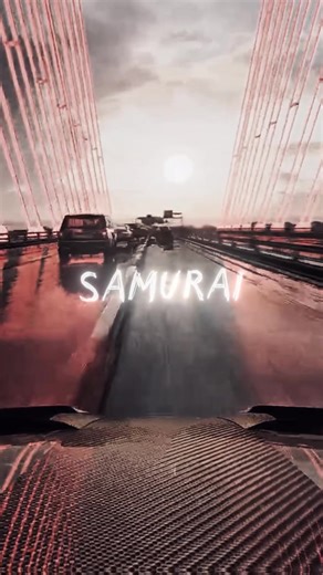 YES I NEED MY SAMURAI 🔥 #techno #hardtechno #remix #lyrics | i need my samurai