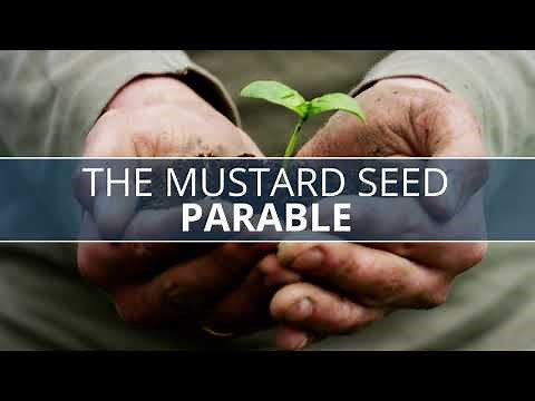 Parable Of The Mustard Seed Explained l Parable Of The Mustard Seed Reflection l Bible Study