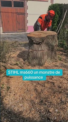 STIHL MS660 vs tree stump 🪵