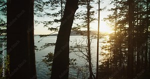 Pacific Coastal Forest with a view of Puget Sound near Seattle Washington