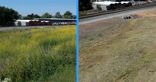 Longtime Santa Margarita fire hazard cleared after KSBY reaches out