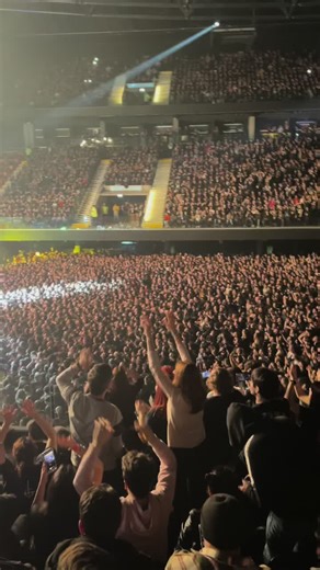 Cuentas recomendadas