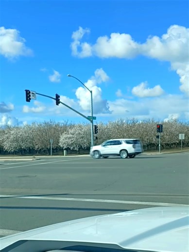 Exploring Visalia Cruising Adventures