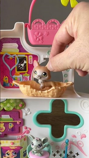 Setting up Littlest Pet Shop Rescue Tails Center #lps #asmr #toys #shorts #littlestpetshop #hospital