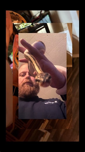 Meet Lucas: The Reptile Enthusiast Behind It All