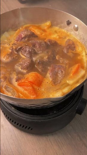 Making Beef Stew in the AIR FRYER OVEN?! HYSapientia Air Fryer Oven Recipes