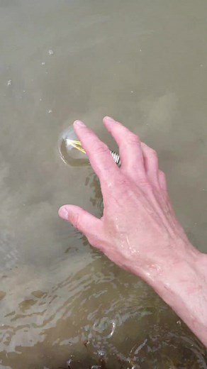 Exploring Water Interactions with Handheld Device