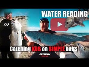 Catch kob on chokka-sardine Baits | Water Reading!!! | ASFN Rock & Surf