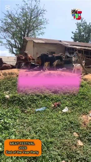 MEAT FESTIVAL dat very moment you say No to chewing... #MeatFestival #PartyFrixCares