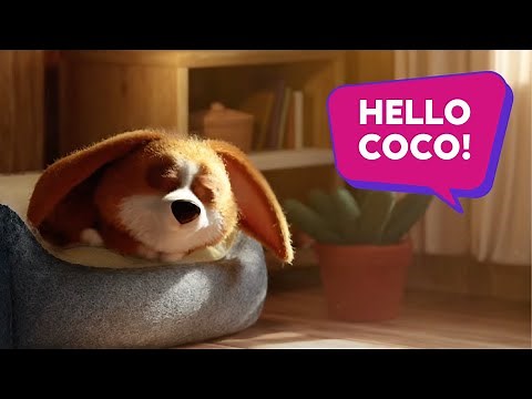 Coco relocates easily!