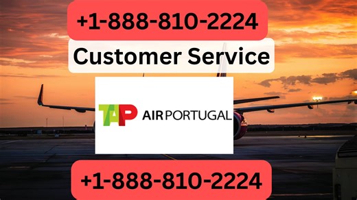 Tap Air Portugal™ Customer Service Official Guide || Step-by-Step Help & Support Tap Air Portugal
