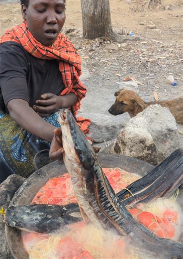 NZEMA PREPARING A DELICIOUS MEAL FOR HER FAMILY! 🇹🇿❤️ Discover the beauty of traditional life, family love, and the rich culture of the Hadzabe people. 🌿🔥❤️ 🙏 For more amazing videos and updates, follow my other Facebook account: Brian Maestro. Don’t forget to follow and support my journey! ❤️🇹🇿 #facebook #reels #usa #egypt