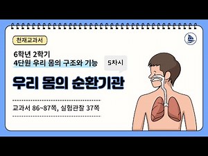 [초등과학, 천재교과서] 6학년 2학기 4단원 5차시 우리 몸의 순환 기관 with 클로바더빙
