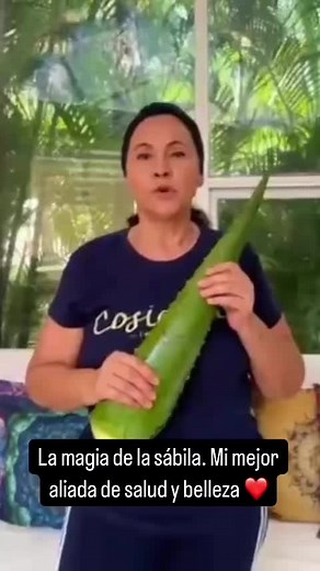 Consejos de salud y belleza con sábila