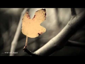 Alejandro Sanz - Pero esta tarde no te vas