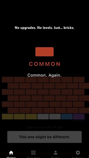 The Most Useless App Ever Made