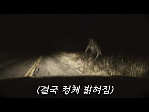Dogman, the American werewolf whose identity was revealed after 88 years
