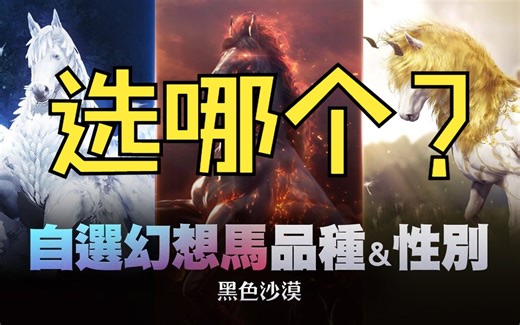 【黑色沙漠】萌新自选幻想马选哪个？地狱马狗都不选！
