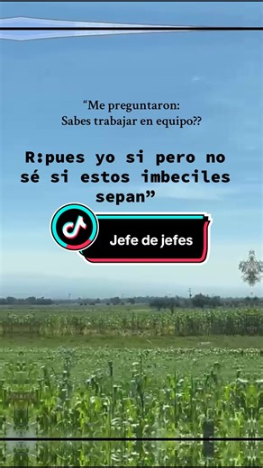 @tigres del norte. ''oficial'' #tigresdelnorte #fypシ #chiste #eserecuerdomusical