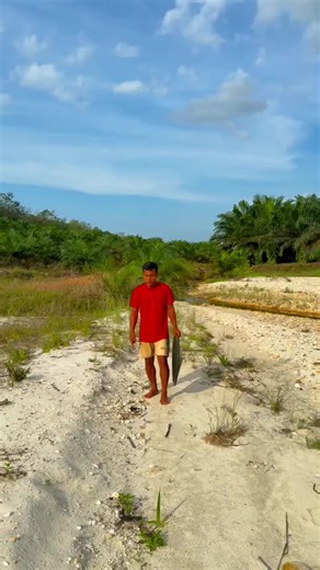 Gold Panning Techniques for Successful Discoveries