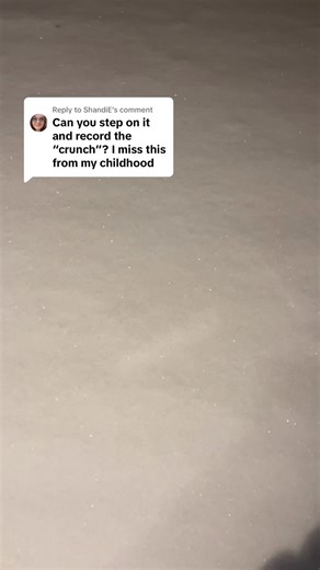 Nature’s Melody: The Sound of Snow Crunching