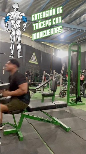 Extensión de tríceps con mancuernas. (Rompecráneos) #ejercicio #entrenamiento #gym #rutinas