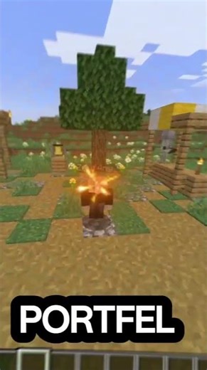 #shorts #minecraft #minecraftserver #server #megacode #pl