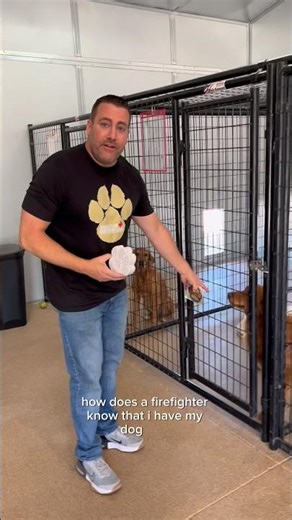 Dog boarding and training facilities. How to step up protection for their kennels.