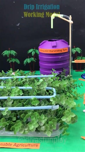 Sustainable Agriculture Model 🌱 | Science Project for School Exhibition | Drip irrigation model