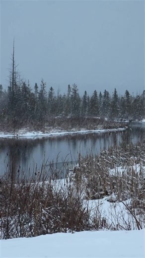 Karen Farrell on Instagram: "There’s something so peaceful about standing still and watching the snow fall. Happy Sunday everyone ❄️❄️❄️ * * * * #puremichigan #puremittigan #winterdays #michiganders #mynorth"