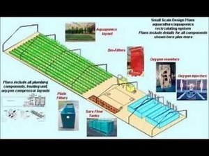 Aquaponics Systems